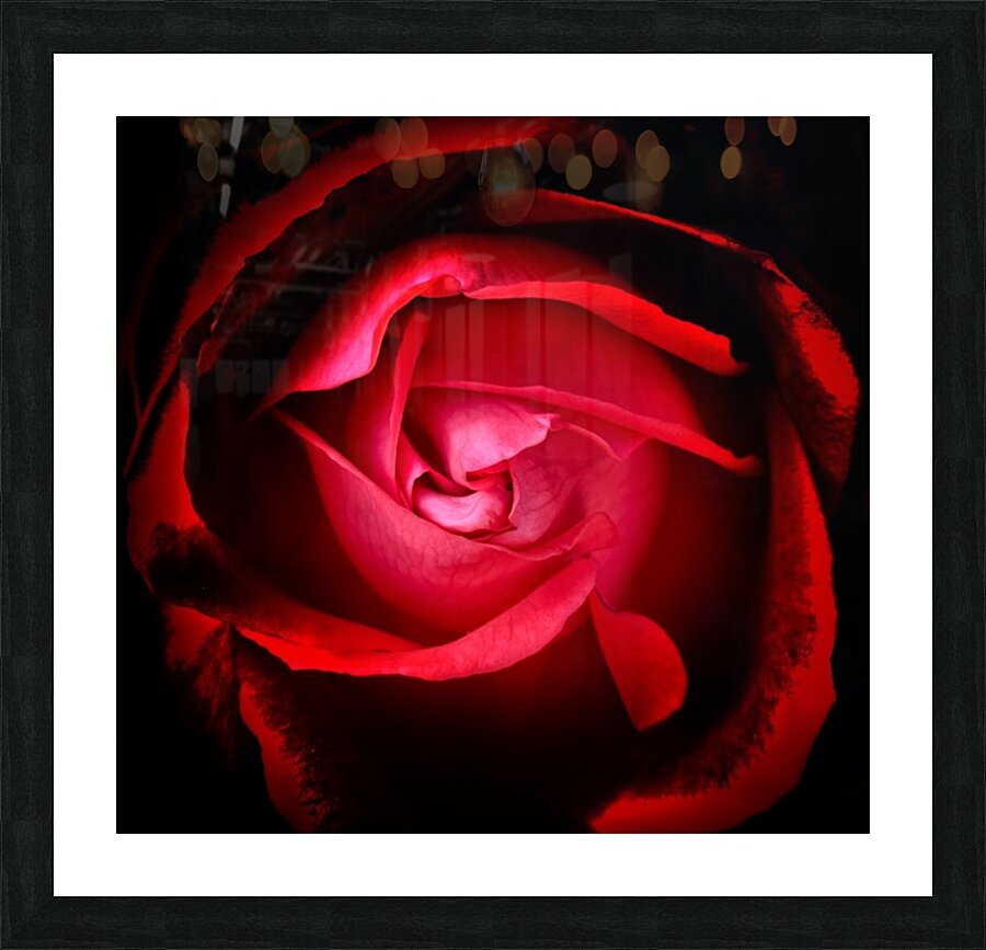 V656 Picture Frame print