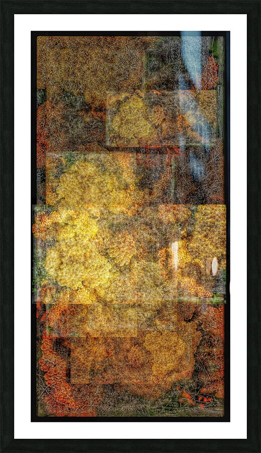 V657 Picture Frame print