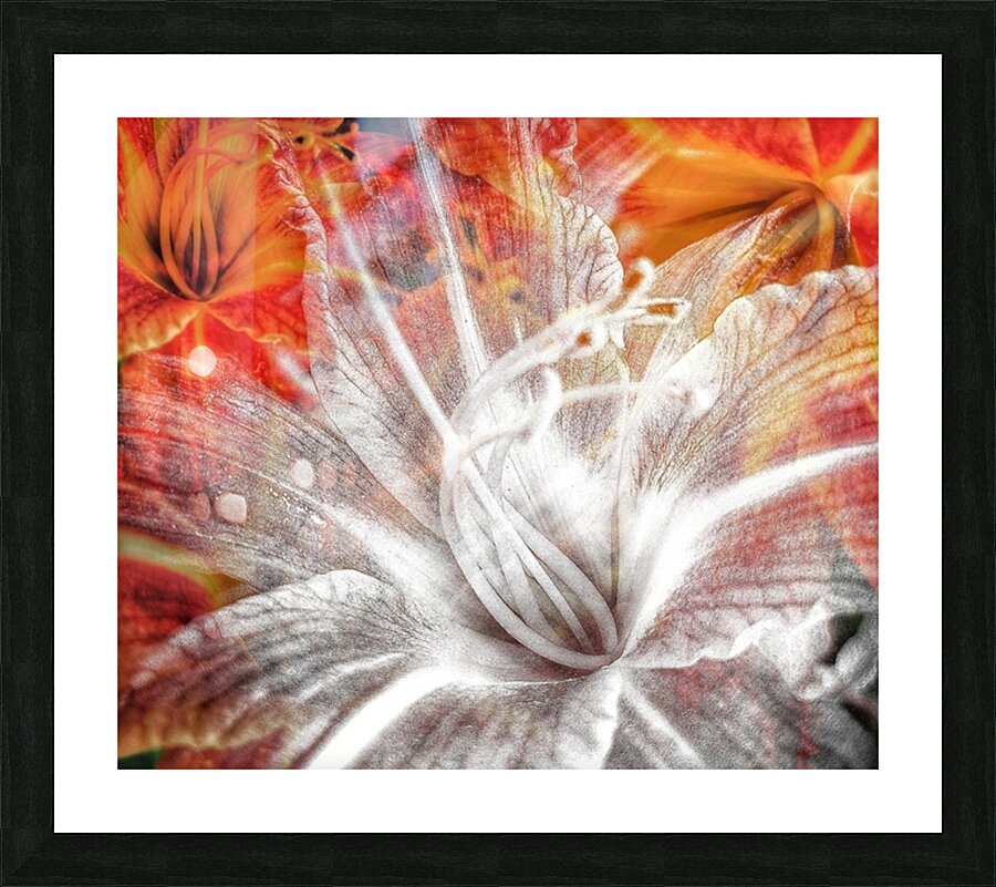 V658 Picture Frame print