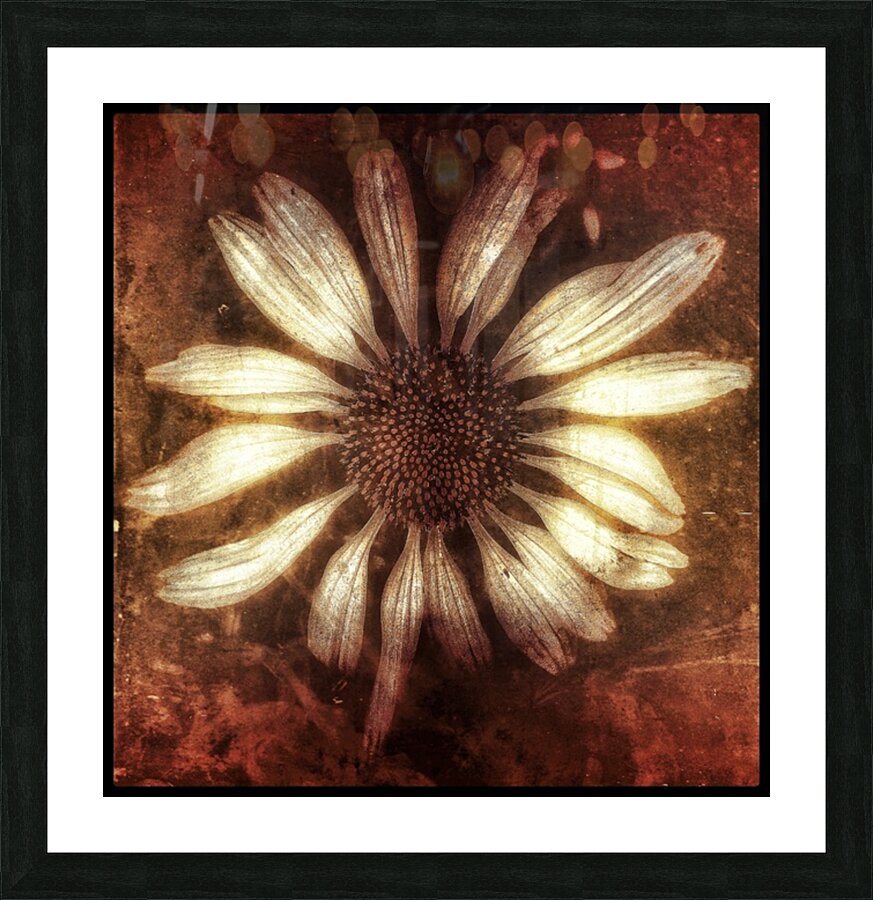 V659 Picture Frame print