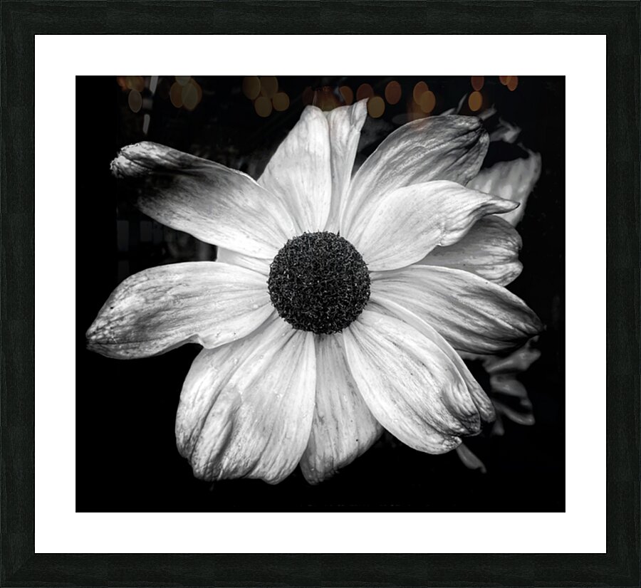 V661 Picture Frame print