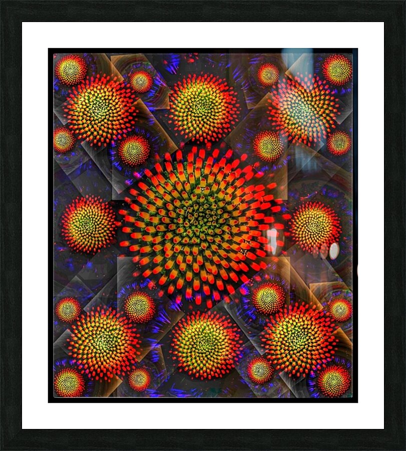 V662 Picture Frame print