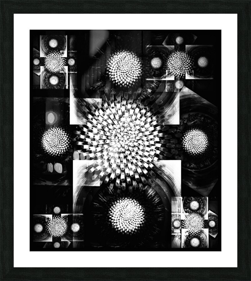V663 Picture Frame print