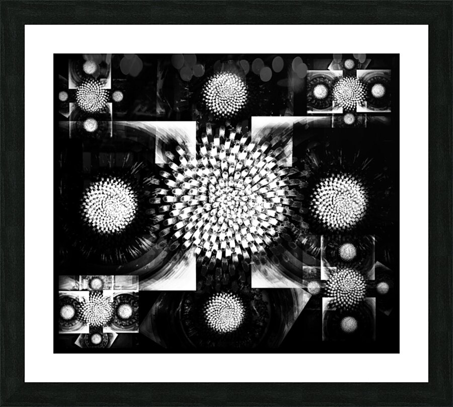 V664 Picture Frame print