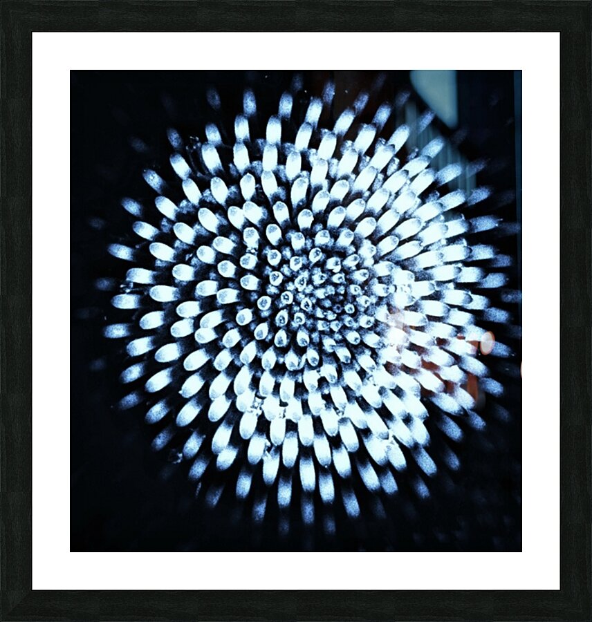 V665 Picture Frame print