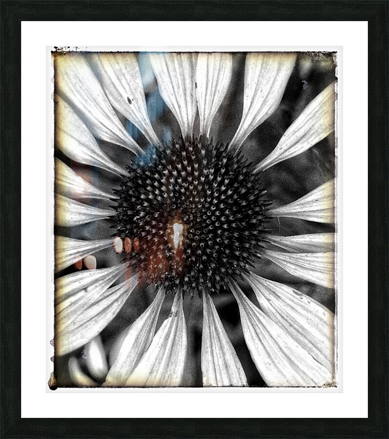 V666 Picture Frame print