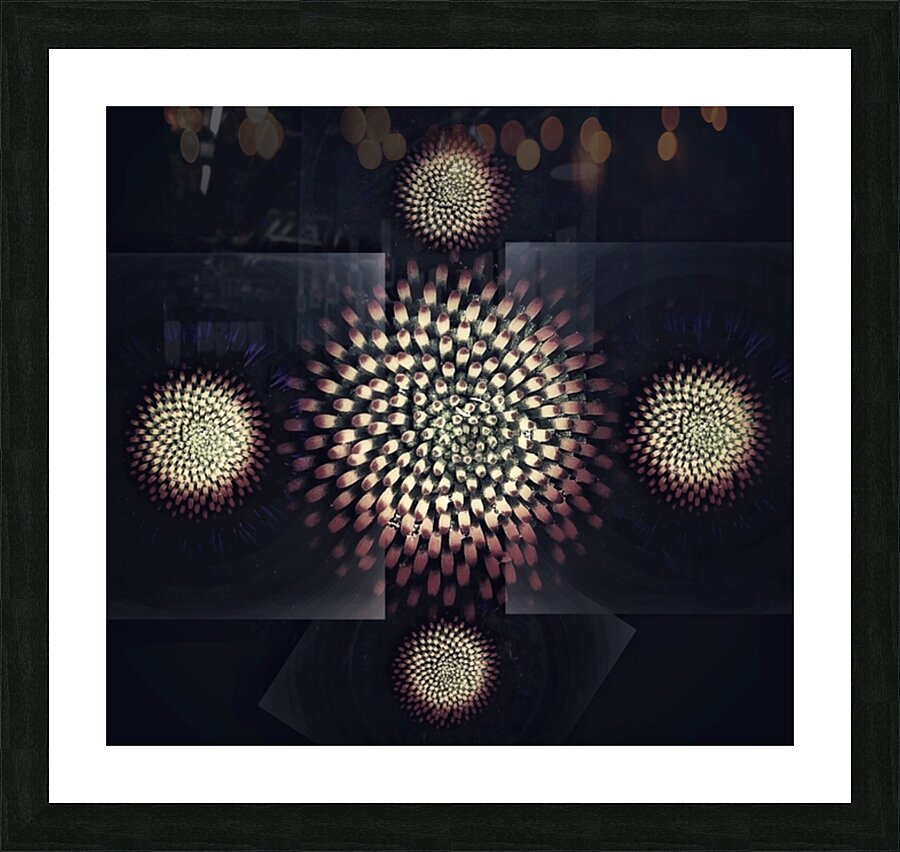 V667 Picture Frame print