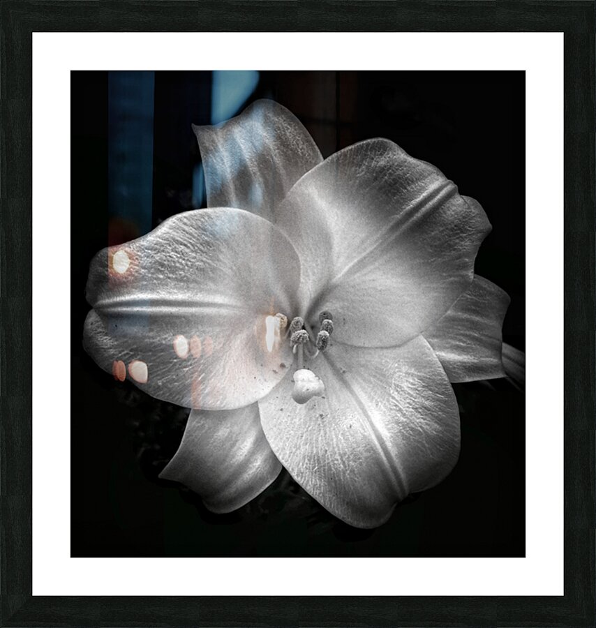 V668 Picture Frame print