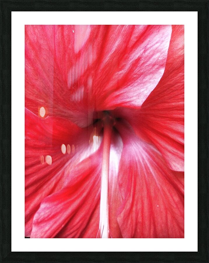 V669 Picture Frame print
