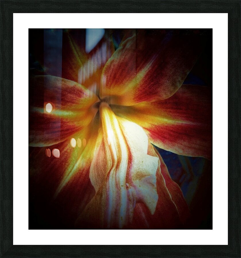 V670 Picture Frame print