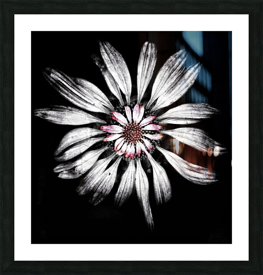 V671 Picture Frame print
