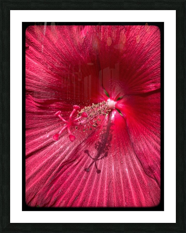 V672 Picture Frame print