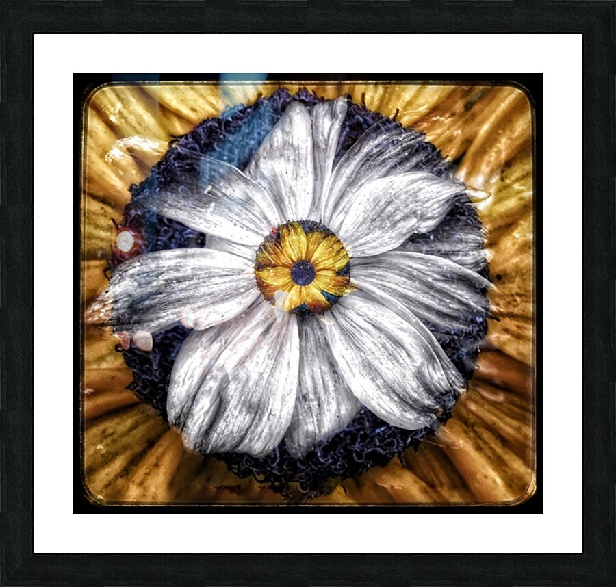 V673 Picture Frame print