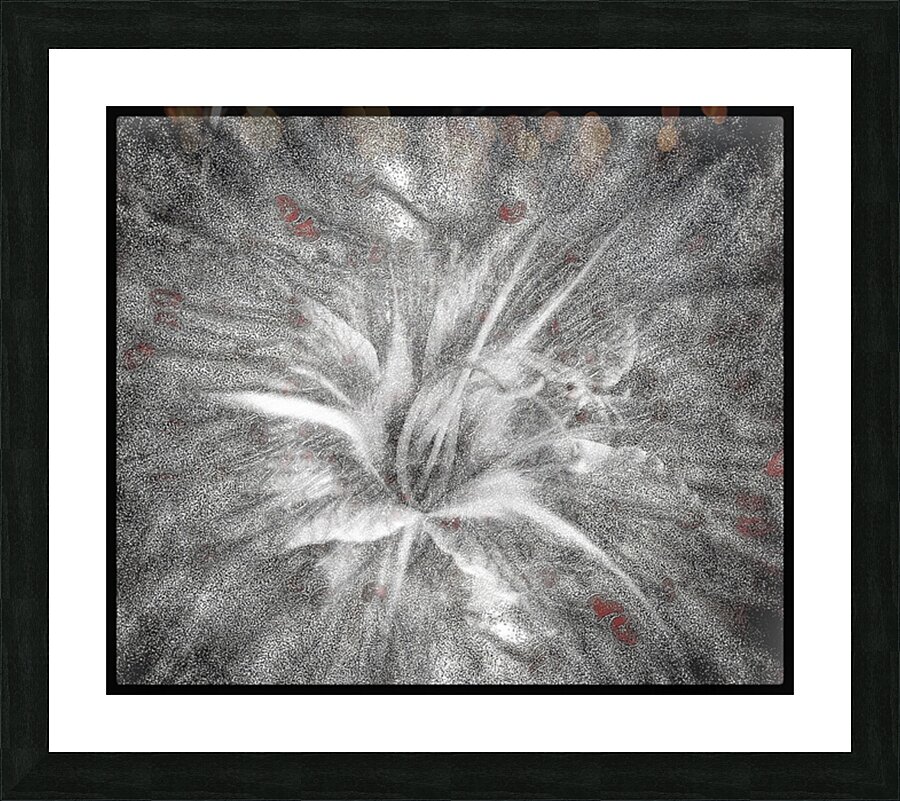 V677 Picture Frame print