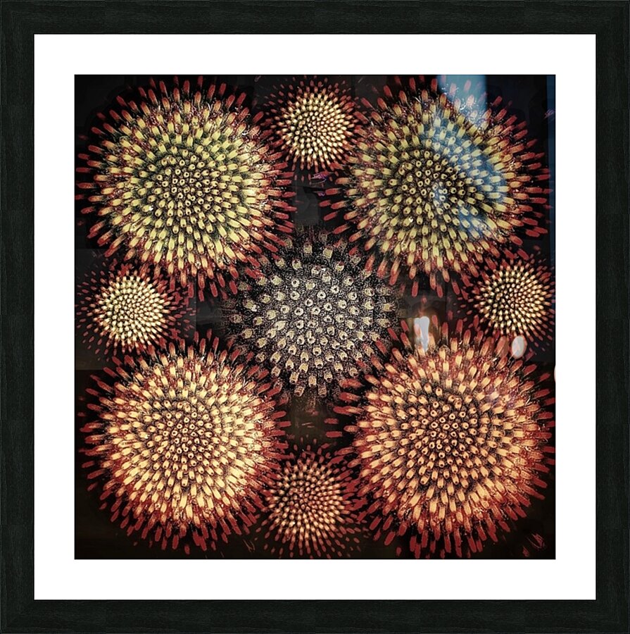 V678 Picture Frame print