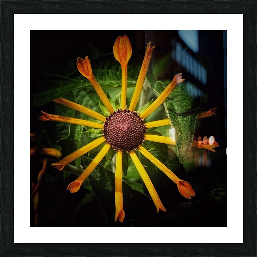 V682 Picture Frame print