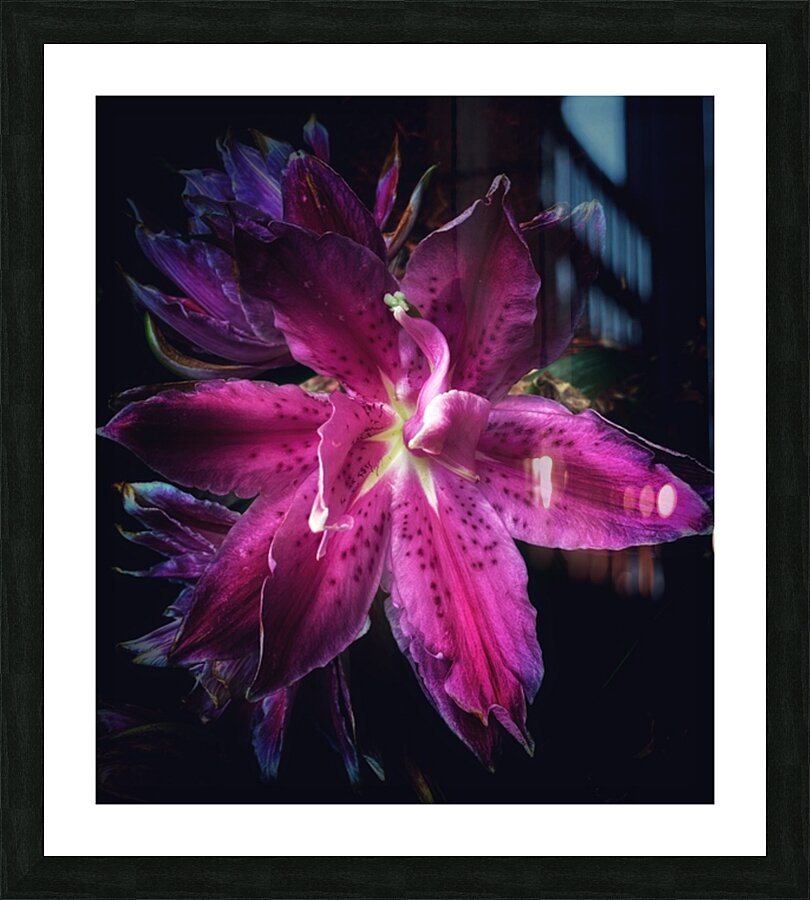 V683 Picture Frame print