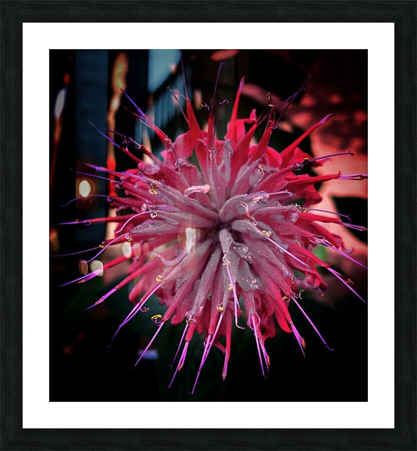 V684 Picture Frame print