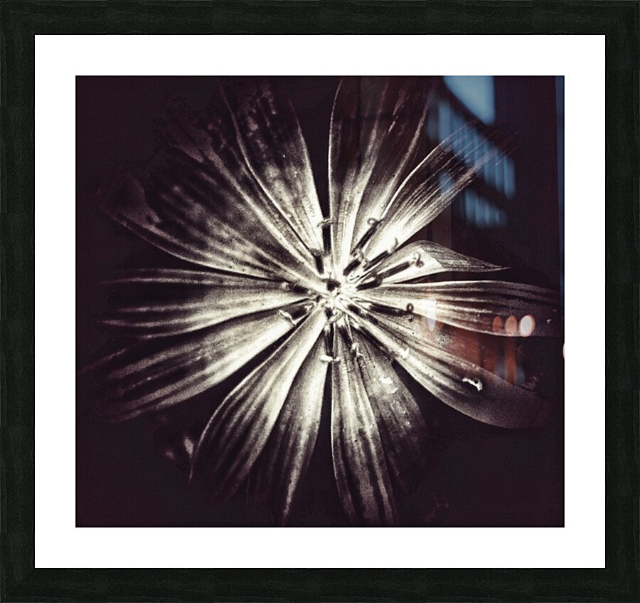 V685 Picture Frame print