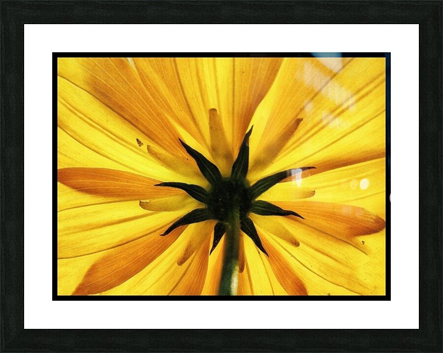 V687 Picture Frame print