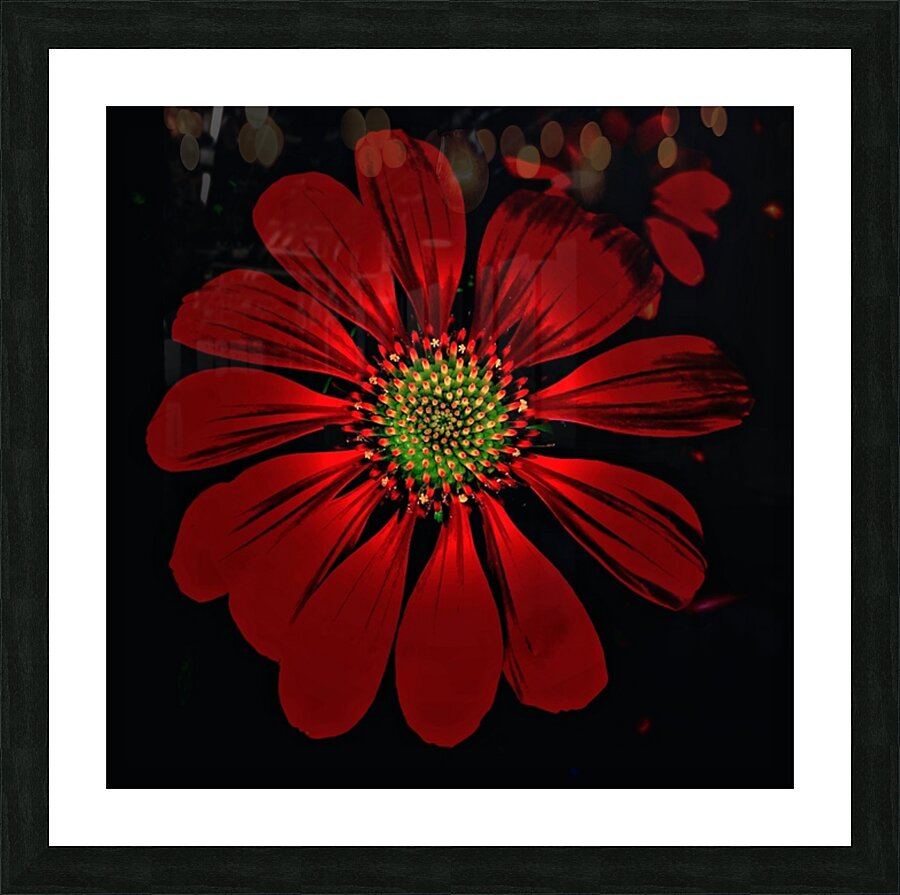 V690 Picture Frame print