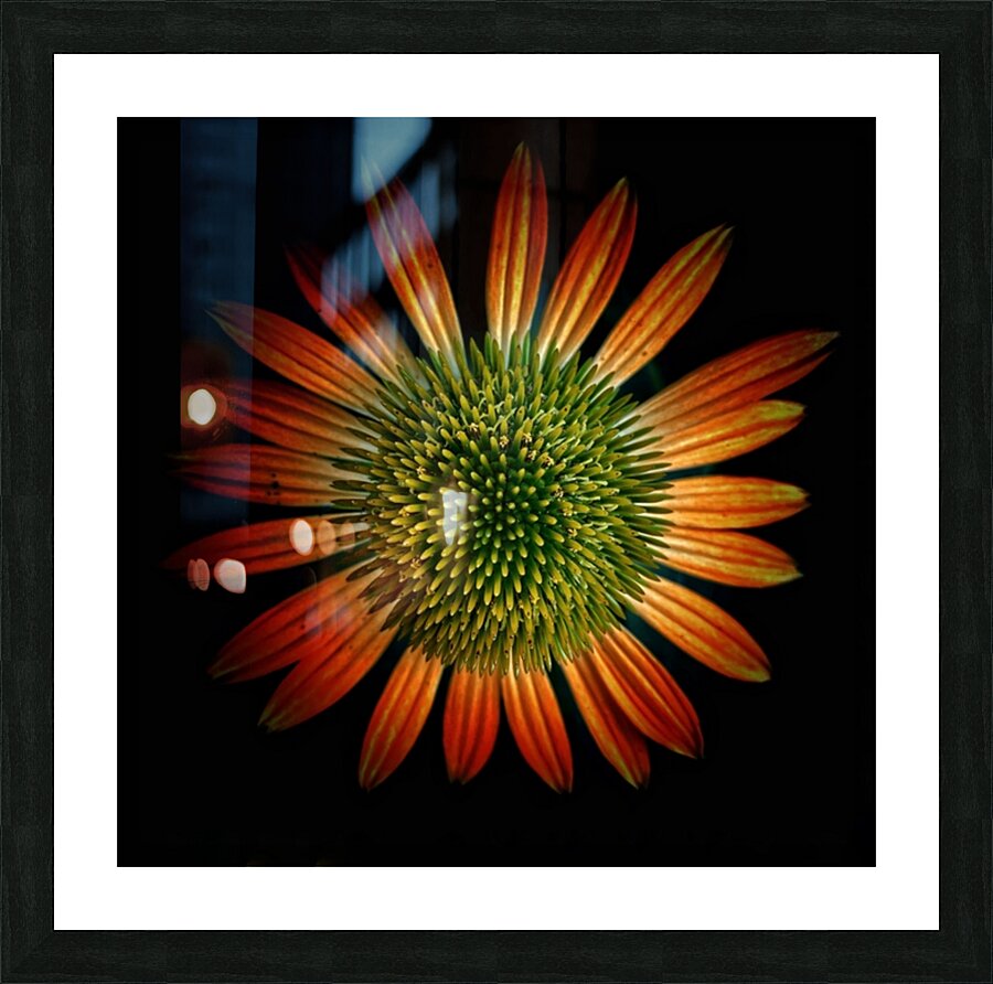 V691 Picture Frame print