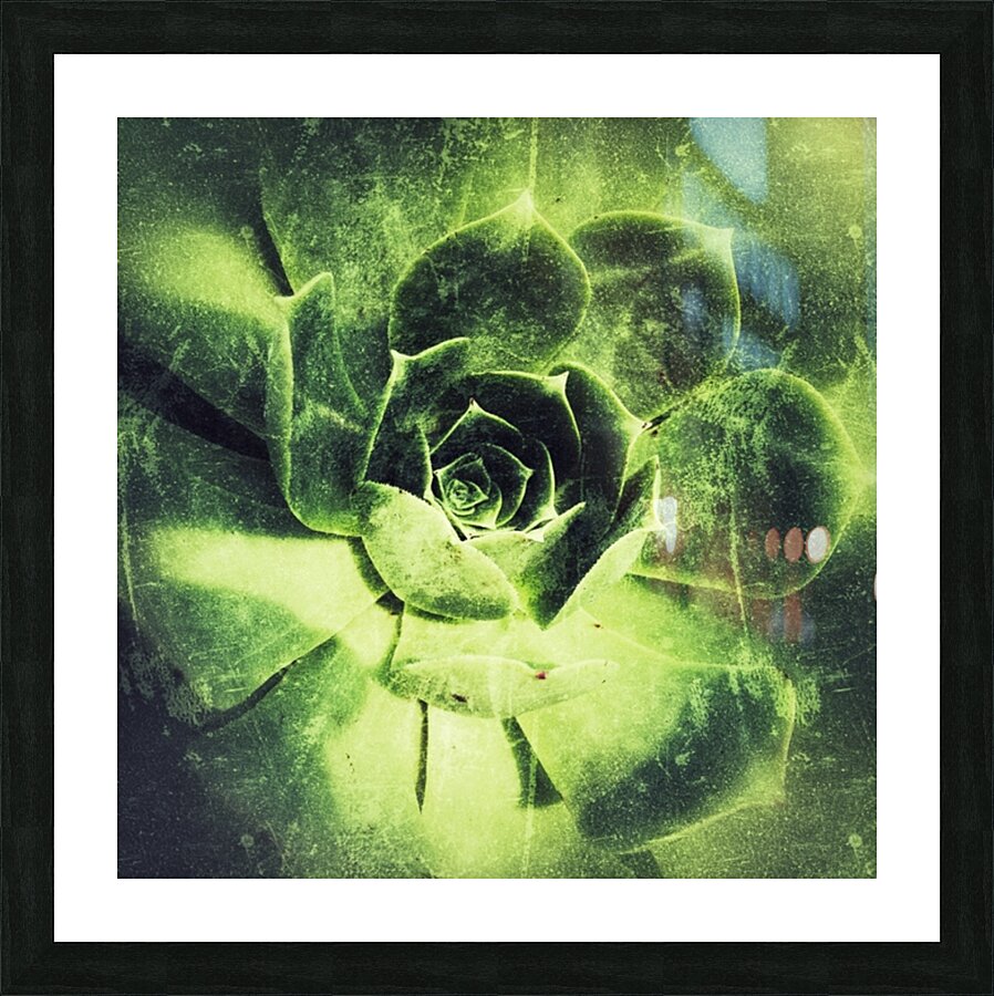 V692 Picture Frame print