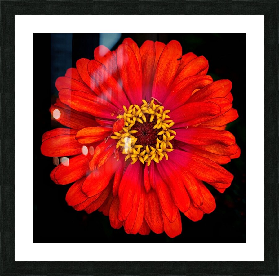 V693 Picture Frame print