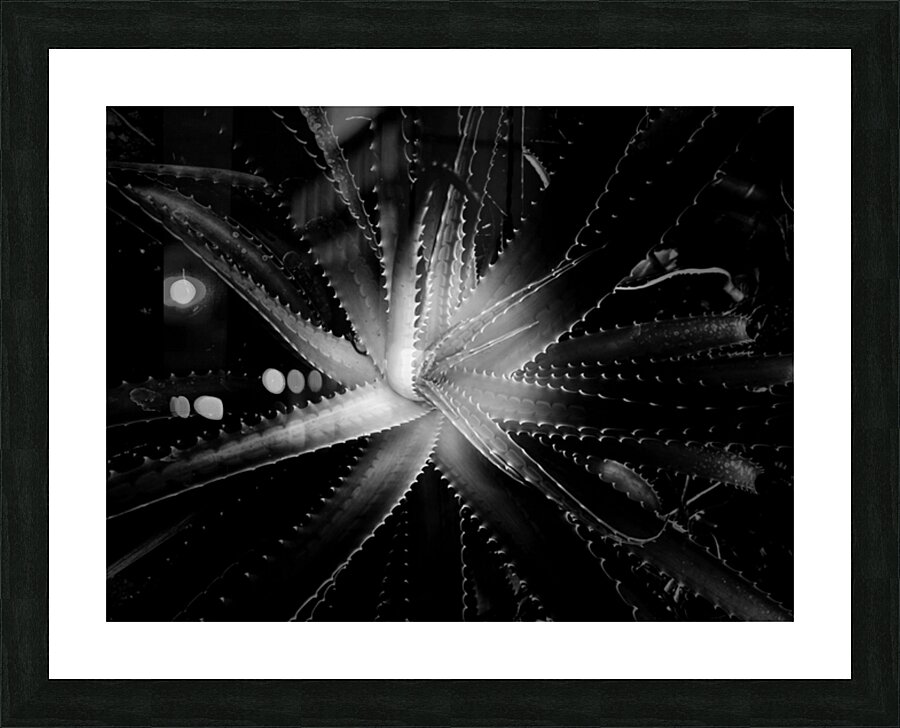 V694 Picture Frame print