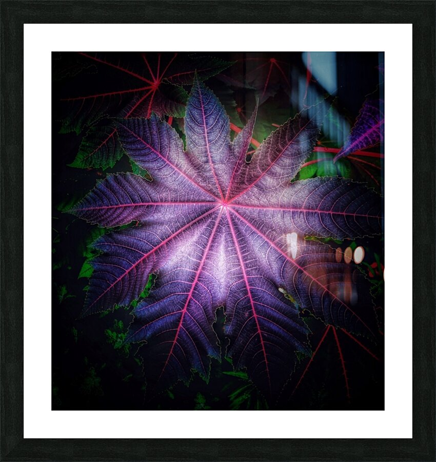 V696 Picture Frame print