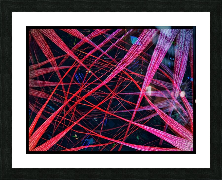 V697 Picture Frame print