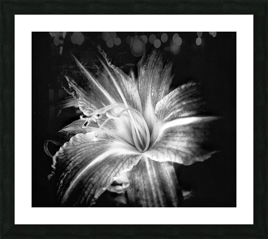 V698 Picture Frame print