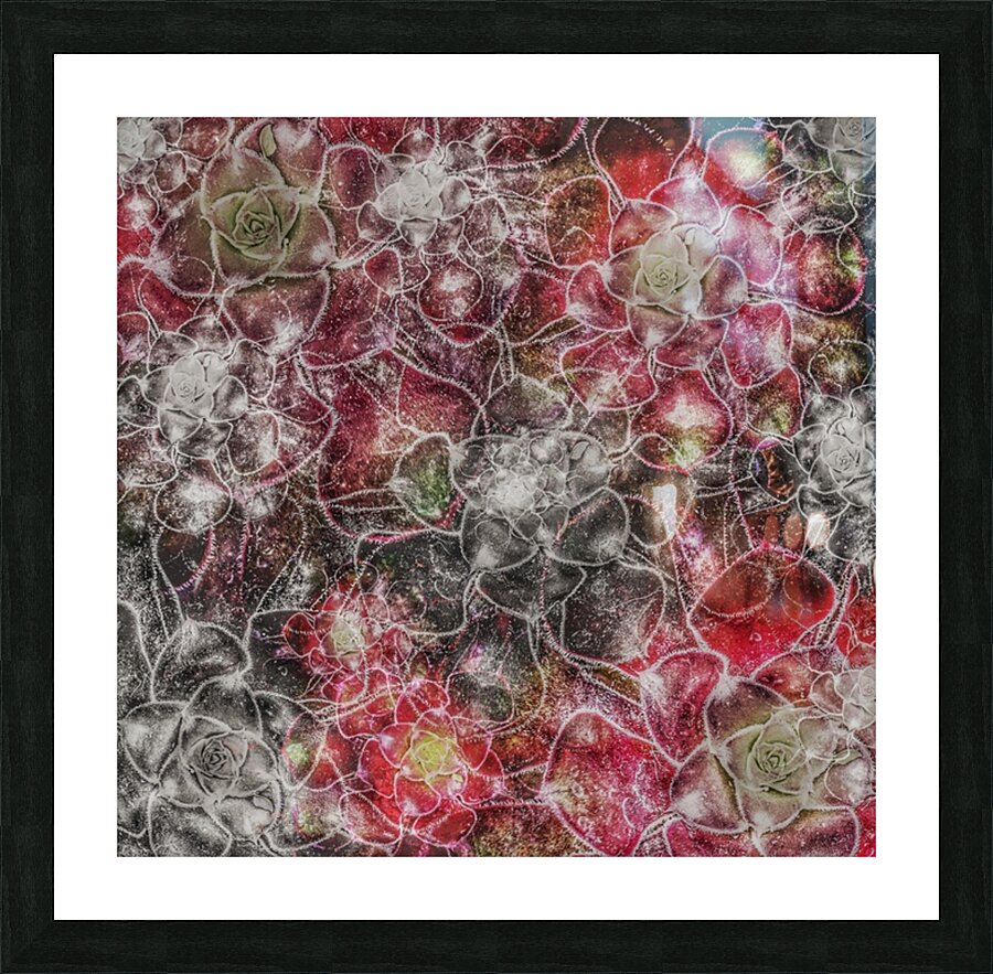 V699 Picture Frame print