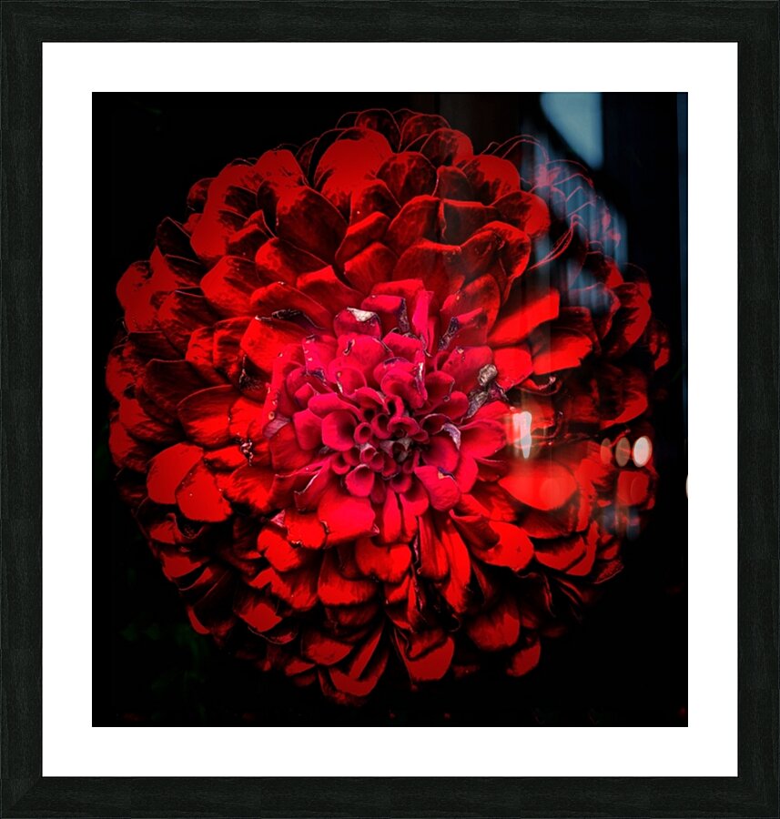 V700 Picture Frame print