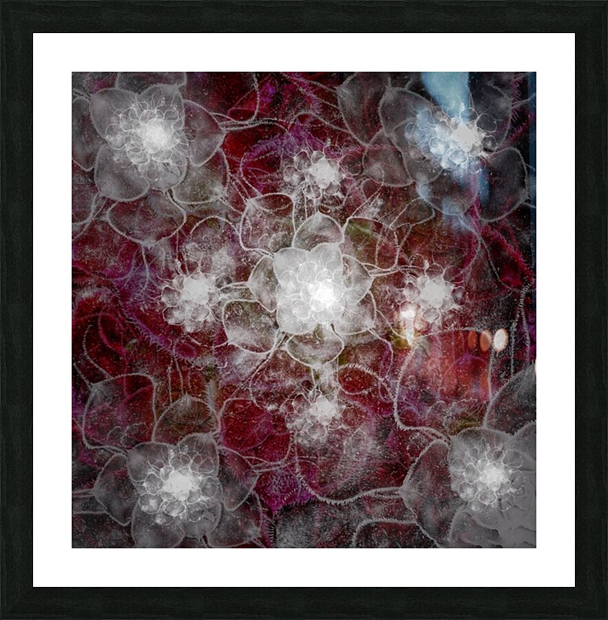V702 Picture Frame print
