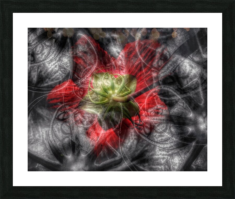 V703 Picture Frame print