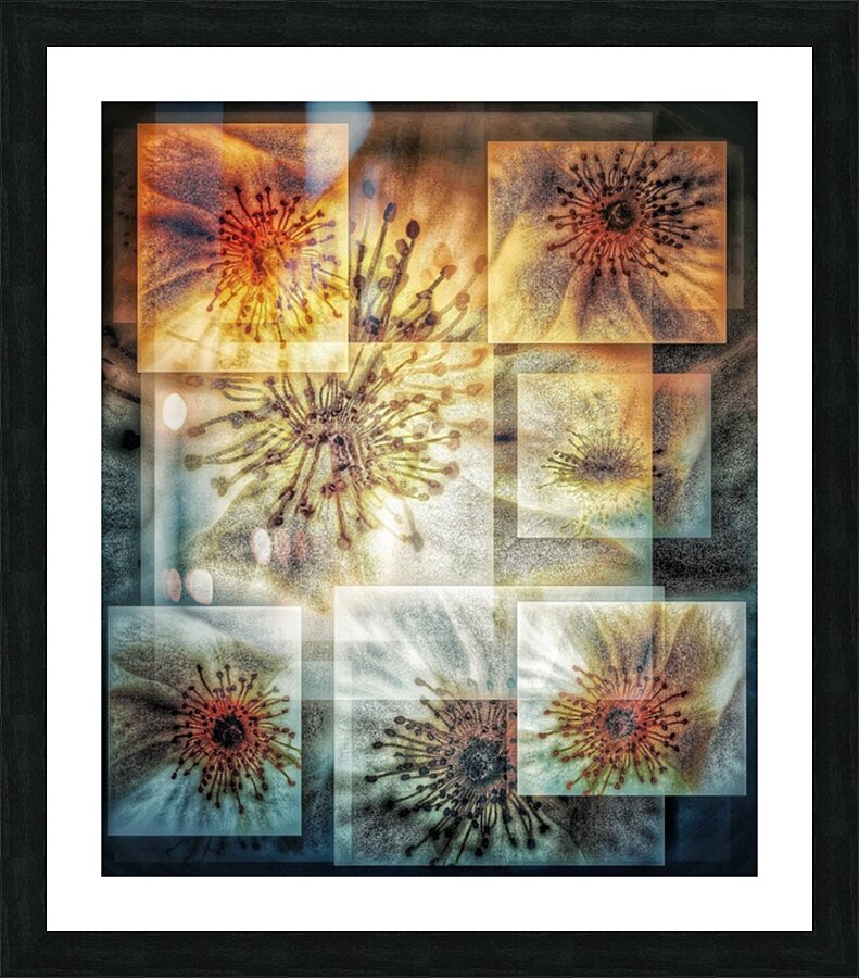 V704 Picture Frame print