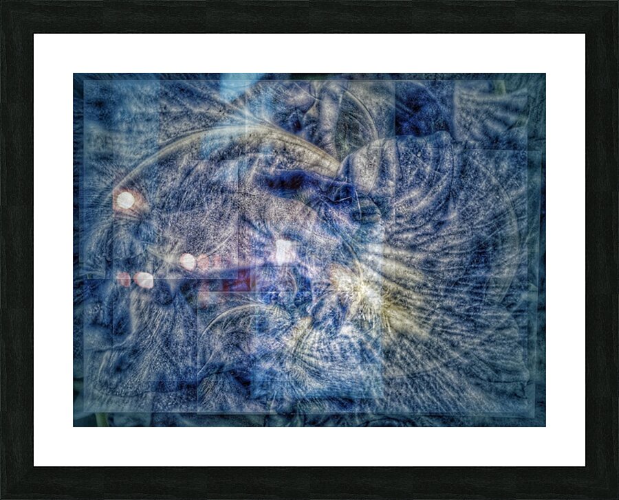 V705 Picture Frame print