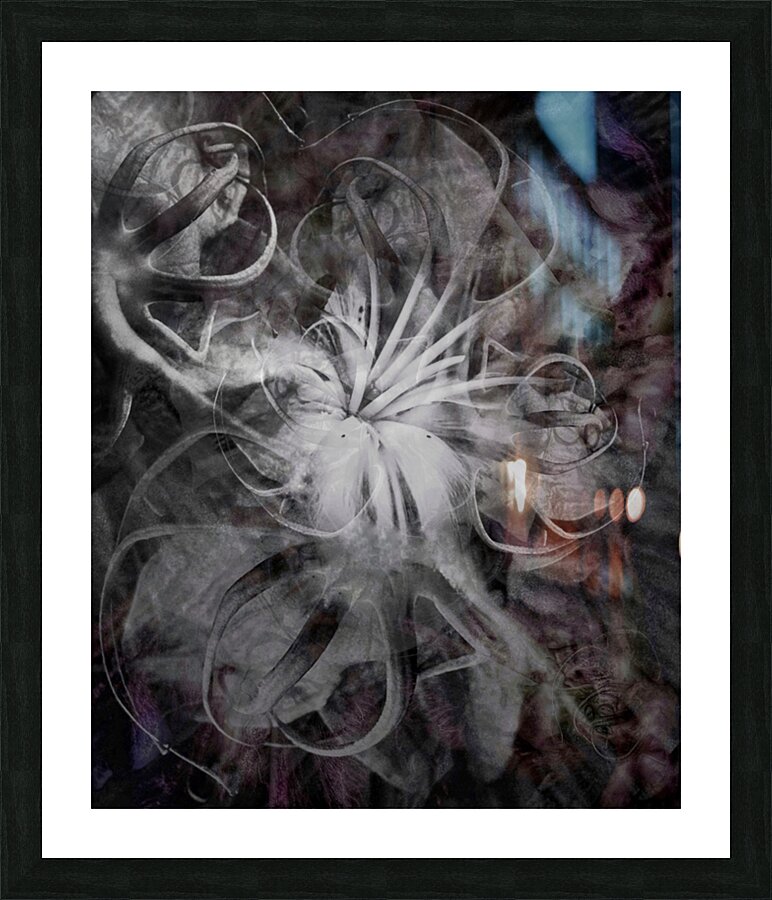 V706 Picture Frame print