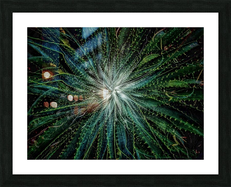 V708 Picture Frame print