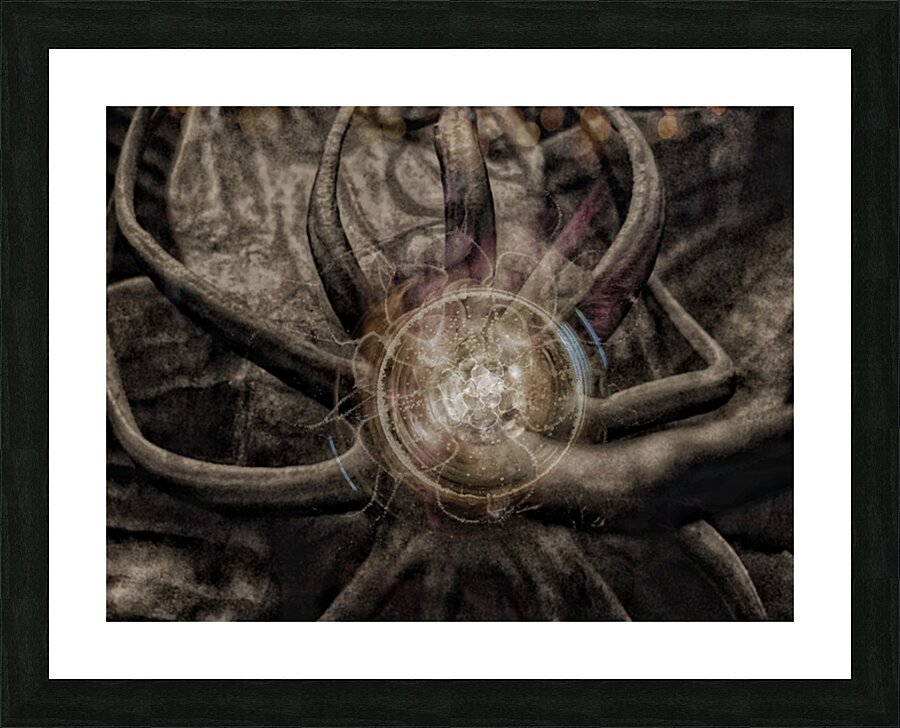 V709 Picture Frame print