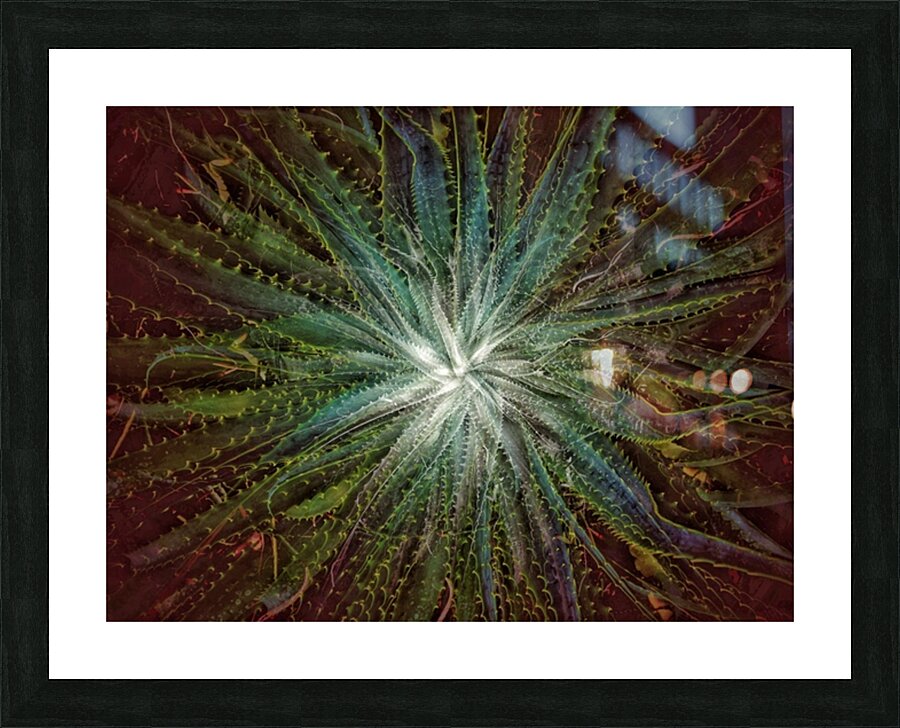 V711 Picture Frame print