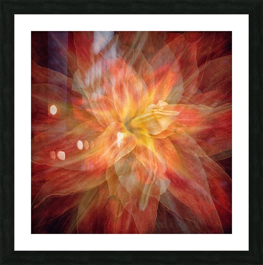 V713 Picture Frame print