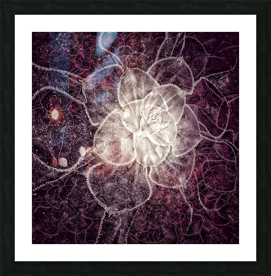 V716 Picture Frame print