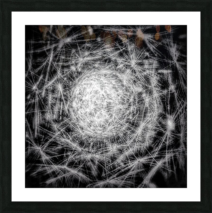 V717 Picture Frame print
