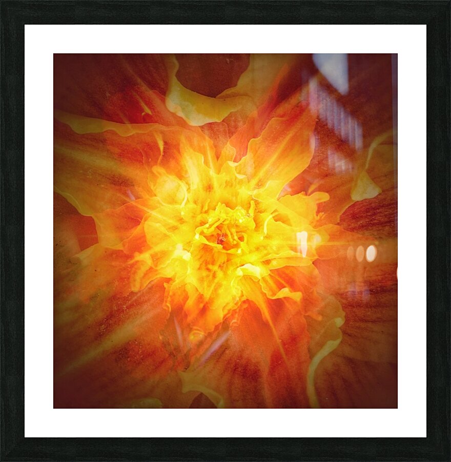 V718 Picture Frame print