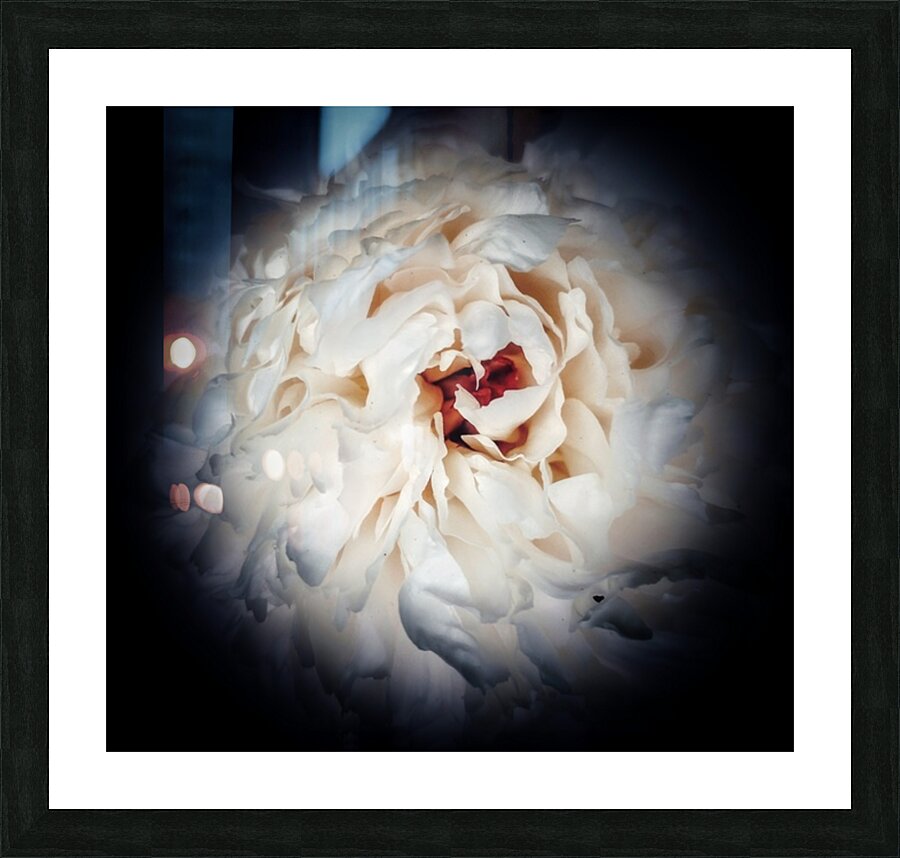V719 Picture Frame print