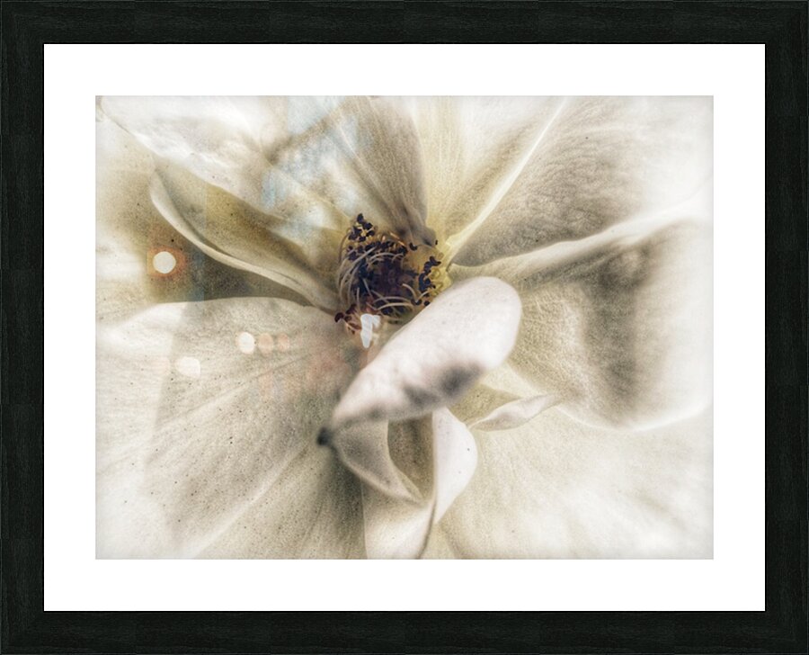 V721 Picture Frame print