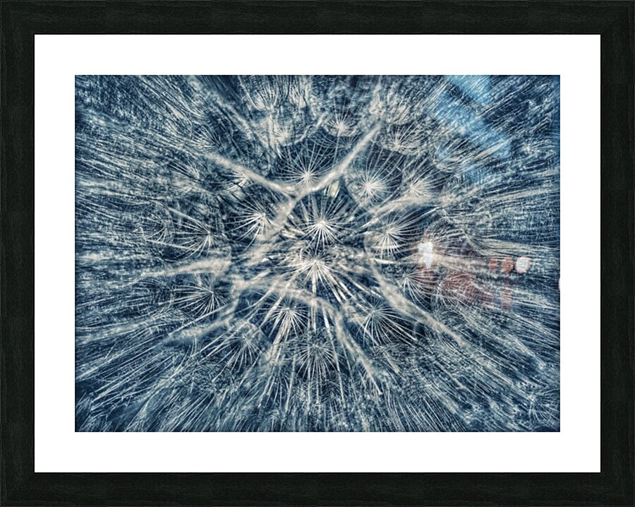 V722 Picture Frame print