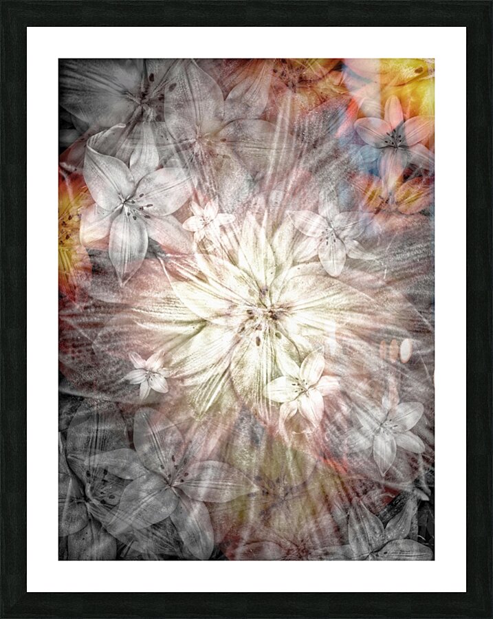 V723 Picture Frame print